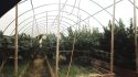 Toll Bridge Rd pot bust