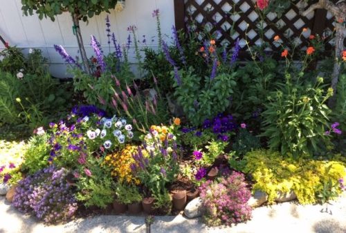 Rogers Garden Flowers