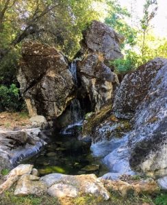 23rd Annual Garden Tour: Natural-Looking Landscapes