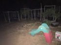 Murder Investigation In Jupiter