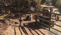 Reeds Fire in Copperopolis