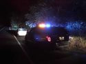 Scene of the drug bust in Sonora