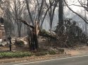 Camp Fire Destruction