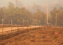 Rattlesnake Flats Road where firefighters were overrun by the Camp Fire flames