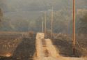 Rattlesnake Flats Road where firefighters were overrun by the Camp Fire flames