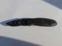 Knife used in alleged Walmart threats