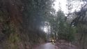Crews clearing downed tree on HWY 26 east of Glencoe