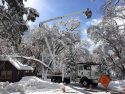 Crews working on downed trees in Yosemite