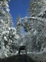 Snow In Twain Harte (file photo)
