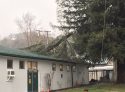 Tree damages Sonora High Maintenance Building