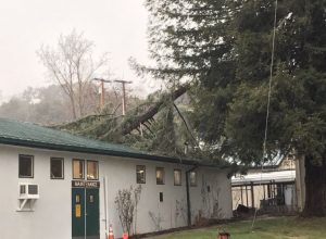 Tree damages Sonora High Maintenance Building