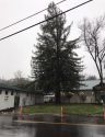 Tree Damages Sonora High Maintenance Building