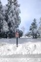 No Parking sign at Sno-Park Feb 8 2019