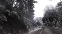 Tree down on HWY 26 east of Glencoe