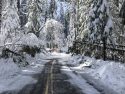 Winter driving conditions in Yosemite Park