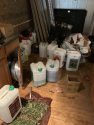 Pot raid on Valley Springs home