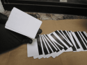 Knight-Sephorghan arrest evidence photo TCSO Mar 31 2019