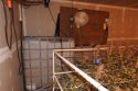 Mountain Ranch illegal grow on Old Emigrant Rd CCSO MET April 2019