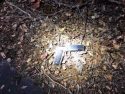 Pistol found in the grass near suspect's car