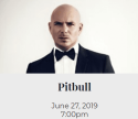 Pitbull
