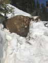 Snow Off Highway 108 near Eagle Meadows