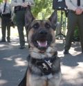 2019 Peace Officer Memorial Ceremony at the Mother Lode Fairgrounds