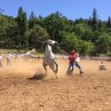 Mother Lode Round-up rodeo