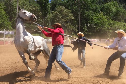 Mother Lode Round-up rodeo