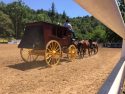 Mother Lode Round-up rodeo