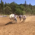 Mother Lode Round-up rodeo