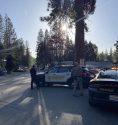 False Shooting Report Investigation In Twain Harte