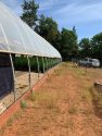 CCSO grow bust May 14 2019
