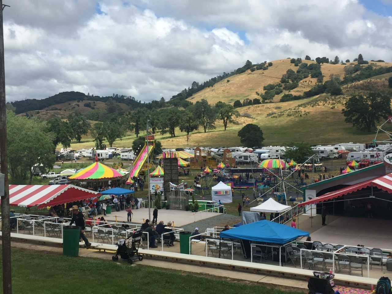 People And Livestock Flock To Fair