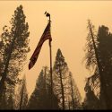Dardanelle Resort icon image in the wake of the Aug. 2018 Donnell Fire