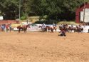 Mother Lode Round-up rodeo