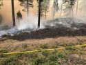 South 108 Underburn in the Mi-Wok Ranger District