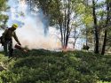 South 108 Underburn in the Mi-Wok Ranger District