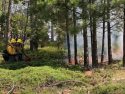 South 108 Underburn in the Mi-Wok Ranger District