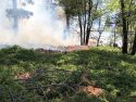 South 108 Underburn in the Mi-Wok Ranger District