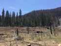 Donnell Fire burn scar along HWY 108 at the former Donnell Resort 6-15-19