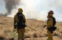 Prescribed Burning - Archive Image