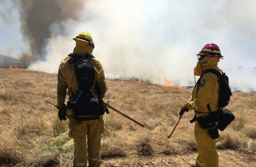 Archive Photo of Prescribed Burning -