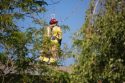 Fire at Vila Drive Condo Complex in the Gibbs Ranch Estates in Sonora
