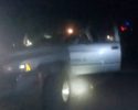 Drug bust behind PetSmart