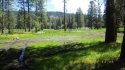 Damage done near Bell Meadow in the Stanislaus National Forest