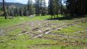 Damage done near Bell Meadow in the Stanislaus National Forest
