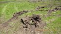 Damage done near Bell Meadow in the Stanislaus National Forest
