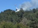 Structure and vegetation fire in Sonora