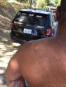 Davis being arrested