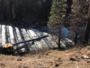 Near Drowning Incident At Brightman Flat Campground